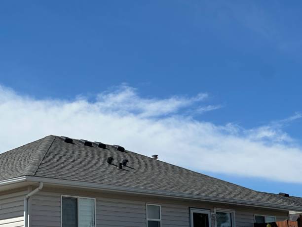 Skylights in Lighthouse Point, FL